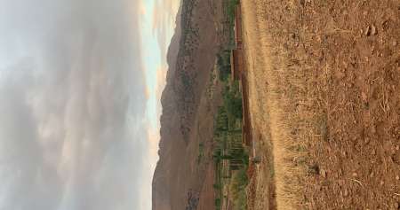 Jeune homme bien éduqué