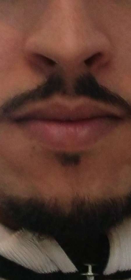 Gigolo