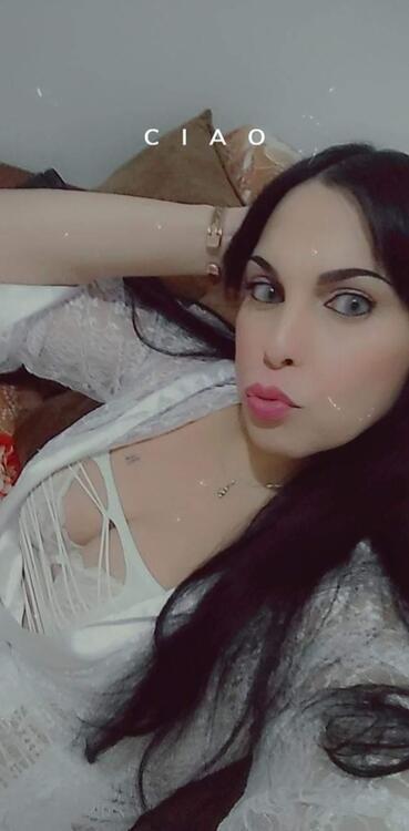 trans en algerie escort