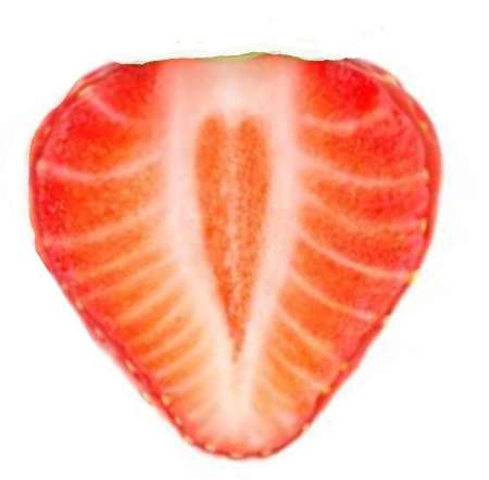  Rech Femme accueillante