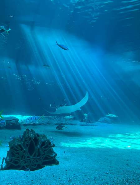 Véritable massage avec Marius strasbourg