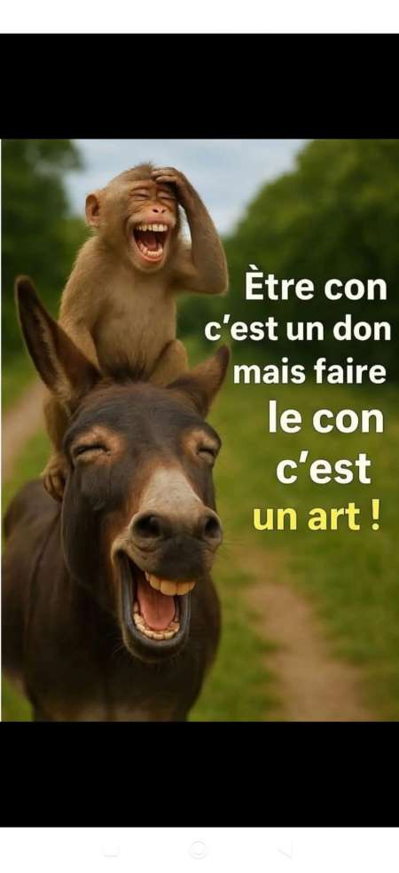 Oserez vous