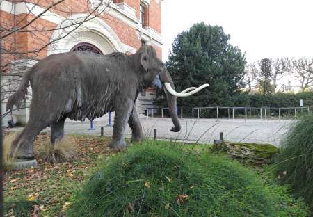 Je recherche une femme mûre