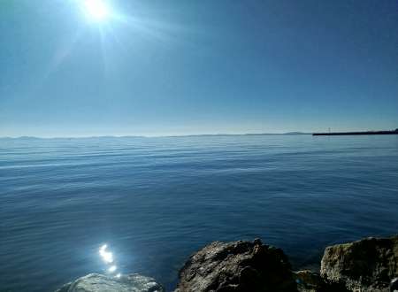 Lèche les pieds, cunnilingus et anulingus.