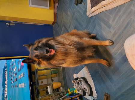 Homme dominant disponible pour réel