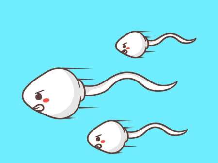 Don de spermatozoïdes